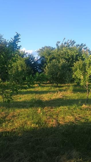 Casă cu 4 camere în Vadu Moldovei