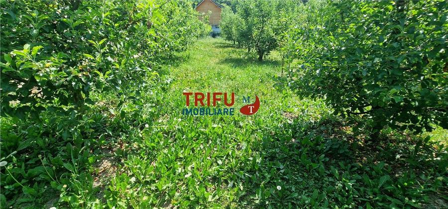 Teren Construcții intravilan de 582 mp, în Ampoița