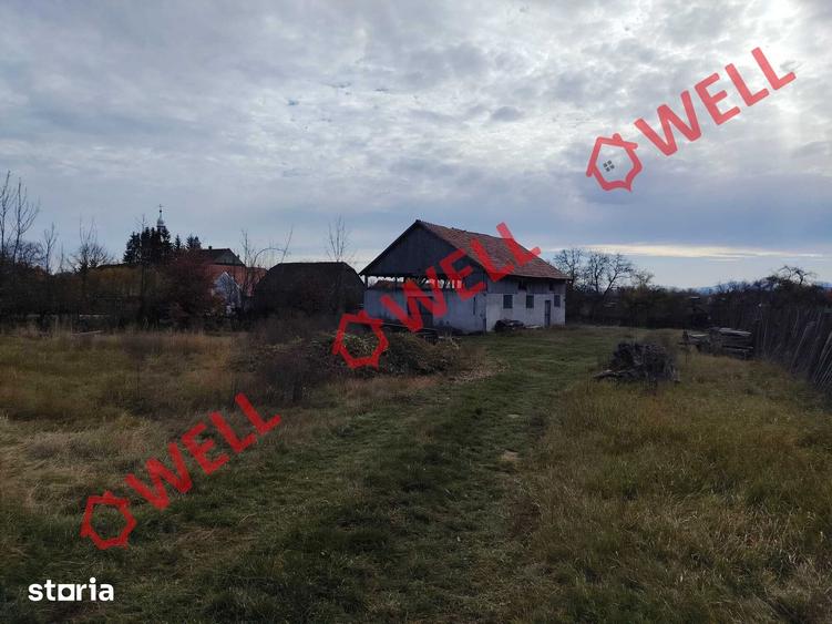 Teren de 1985 mp, în Valea Crișului