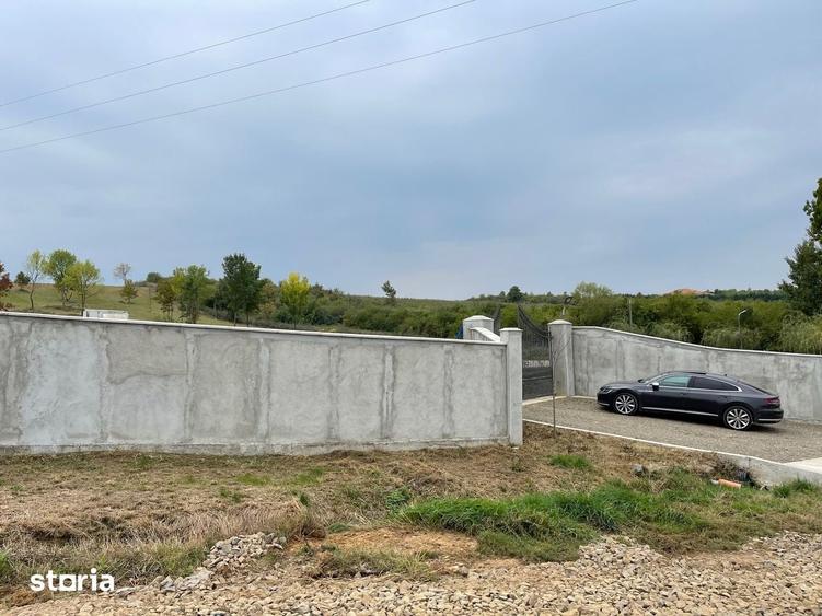 Teren de 11600 mp, în Viile Satu Mare