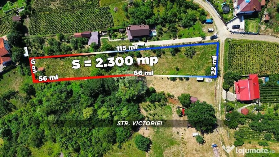 Teren extravilan 2300mp | Baia Mare | Valea Borcutului - 4