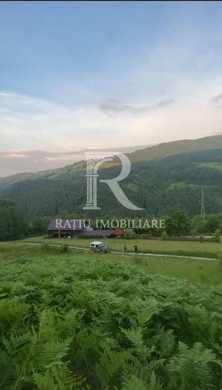 Teren 10.900mp | Panoramă în Apuseni | Remeți -Ideal pentru Investitii - 8