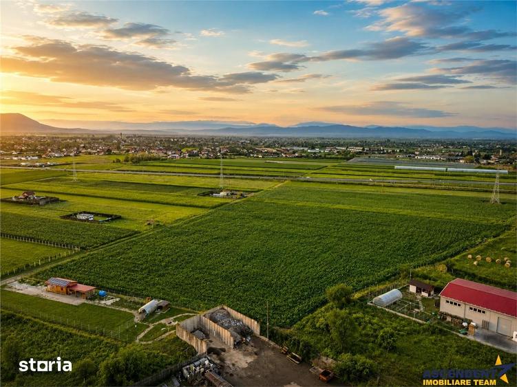 Film!Potential rezidentialinvestitional, 5.000 mp intravilan,privelist - 6