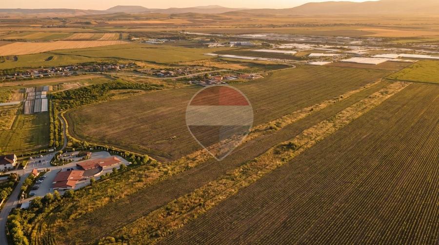 Teren Construcții intravilan de 4350 mp, în Sud-Vest