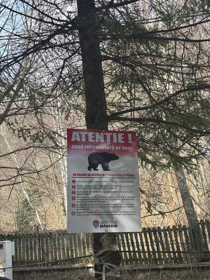 Teren agricol extravilan de 39.5 mp, în Măneciu