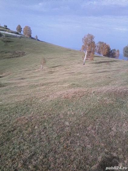 Teren de 21400 mp, în Central