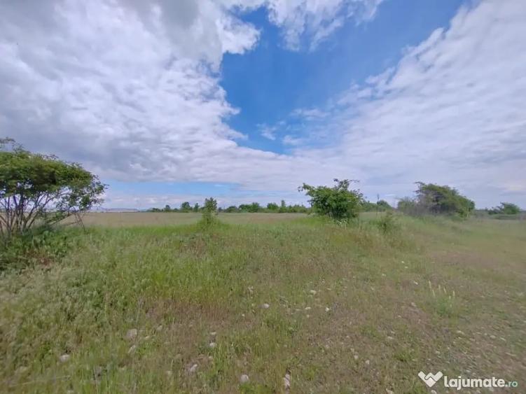 Teren în Ariceștii Rahtivani