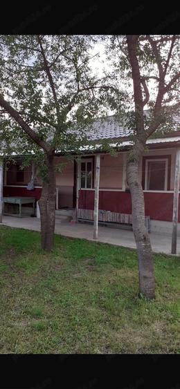Casă cu Teren 2436 Mp în Cotu Ciorii