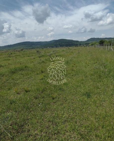 Teren agricol extravilan de 23700 mp, în Jelna
