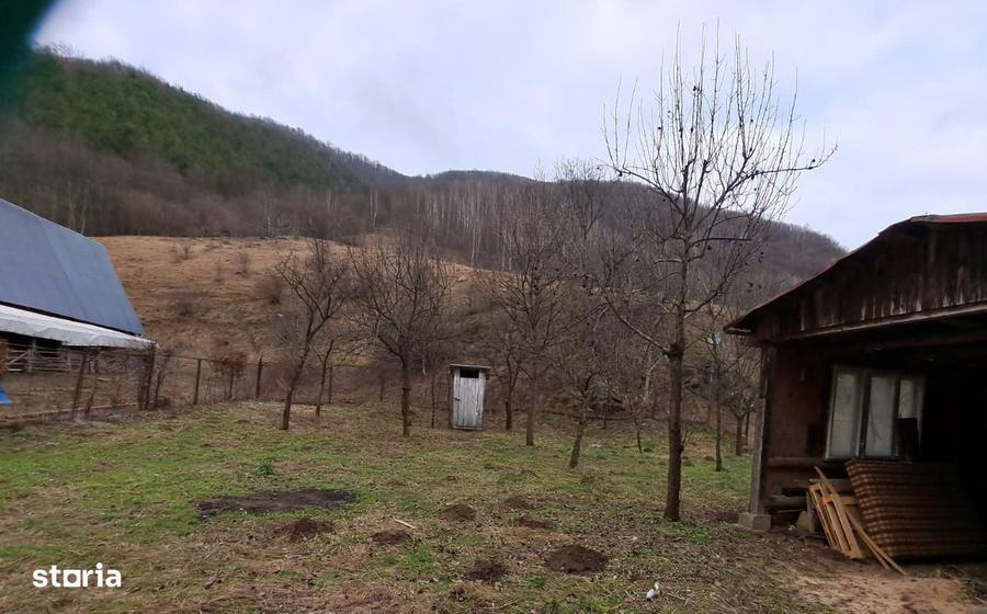 Casă cu 3 camere cu Teren 465 Mp în Boița