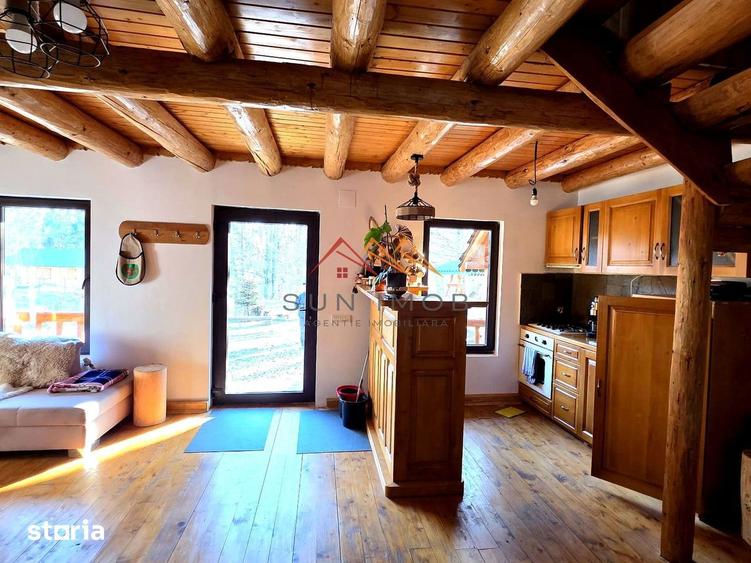 Cabana lemn 2018 | 4 camere | PADUREA GLODEASA VALEA DOFTANEI - 18