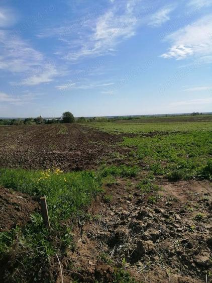 Teren de 6200 mp, în Săsenii Noi