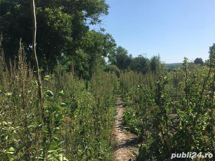 Casă cu 6 camere cu Teren 3444 Mp în Căstău