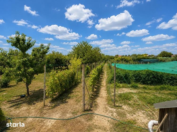 Casă cu Teren 3000 Mp în Foeni