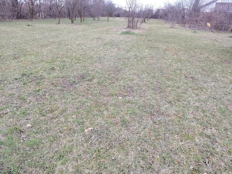 Teren de 1400 mp, în Bănești