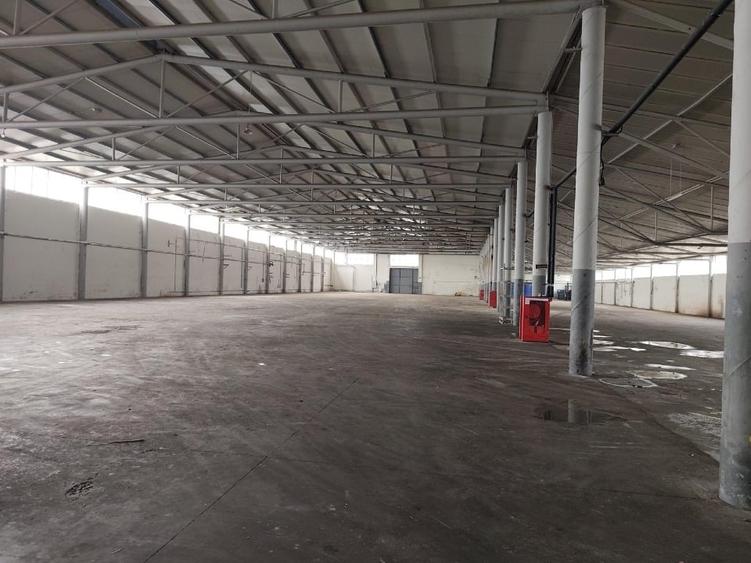 Spațiu industrial, de 4,351 mp, în Minieri