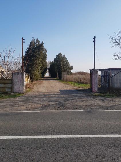 Spațiu comercial, în Însurăței