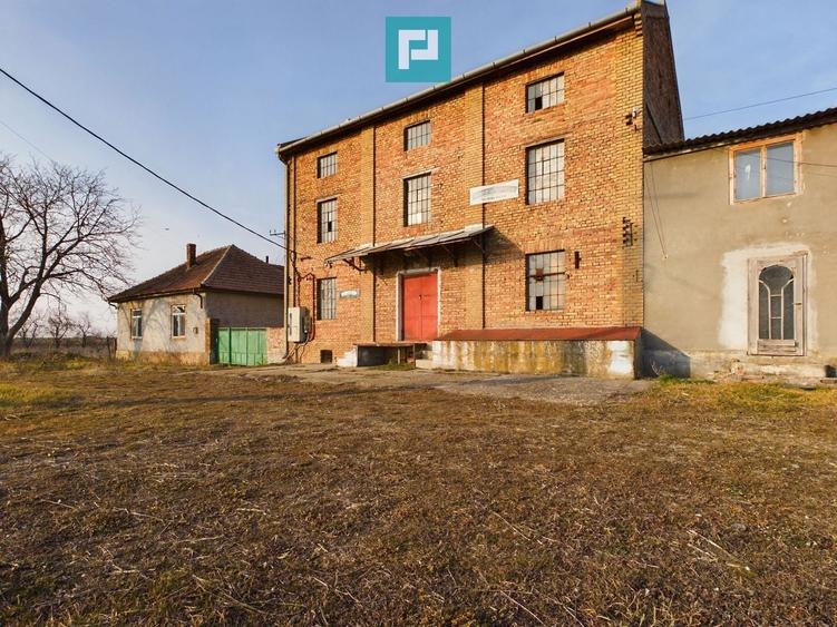 Casă individuală cu 8 camere cu Canalizare în Periam