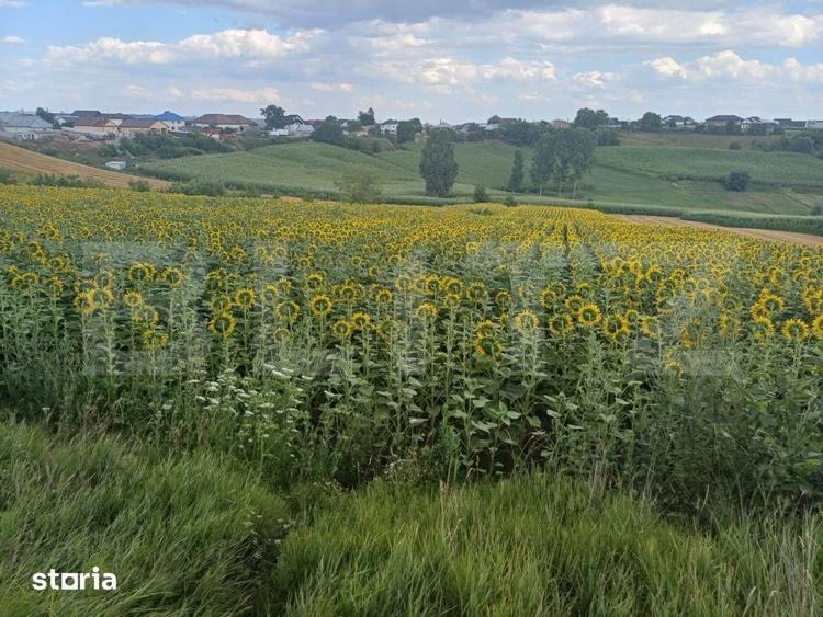 Teren de 2000 mp, în Moara