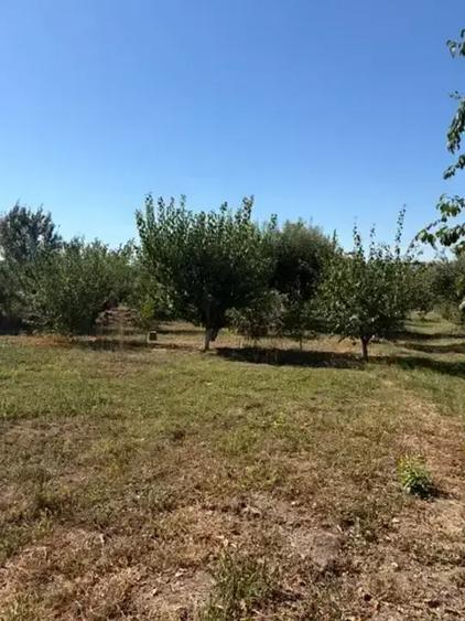 Casă 5 camere în Crevedia 181 mp utili teren 1.790 mp - 5