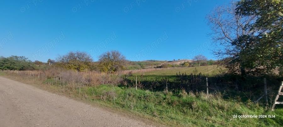 Teren de 2500 mp, în Muntenii de Sus