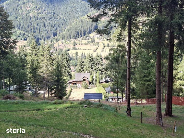 Teren de 6200 mp, în Lunca