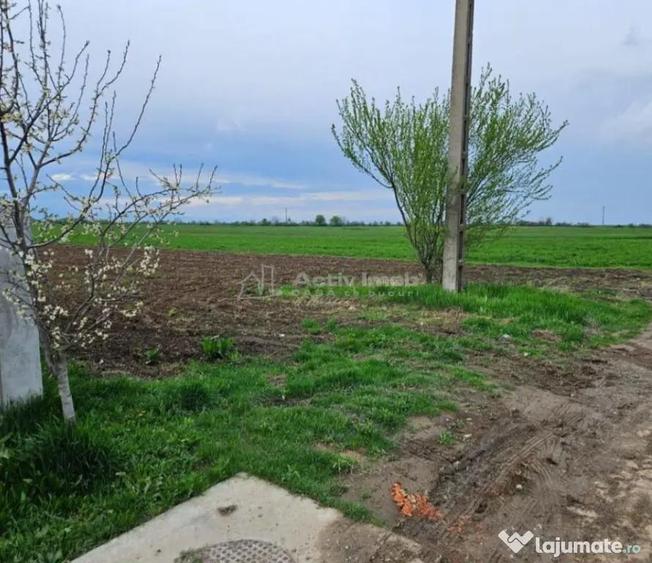 Teren de 4500 mp, în Ariceștii Rahtivani