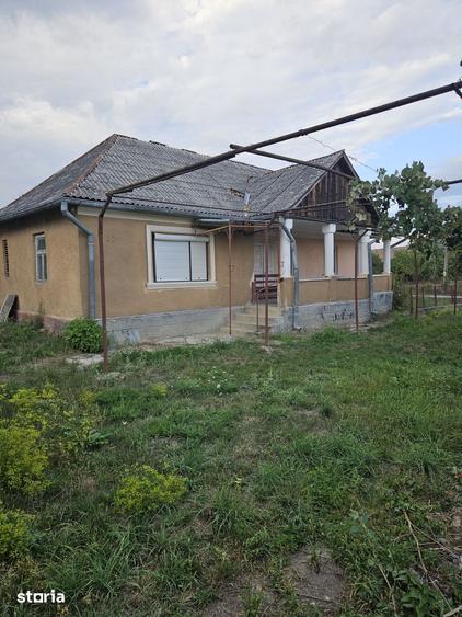Casa de renovat + 2.900 mp teren, front 38 m potential constructie - 4