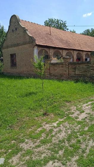 Teren de 3000 mp, în Sacoșu Turcesc
