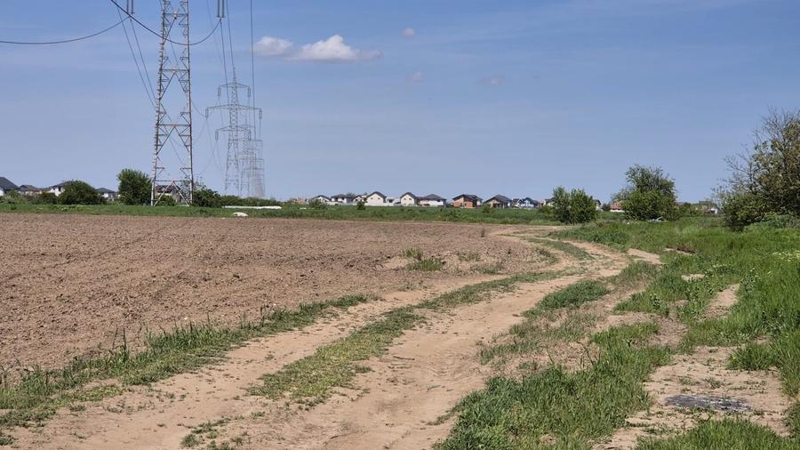 Teren agricol extravilan de 9983 mp, în Berceni