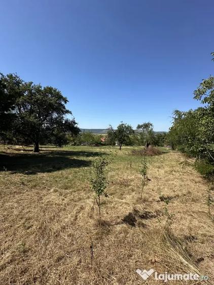 Teren de 2250 mp, în Picioru Lupului