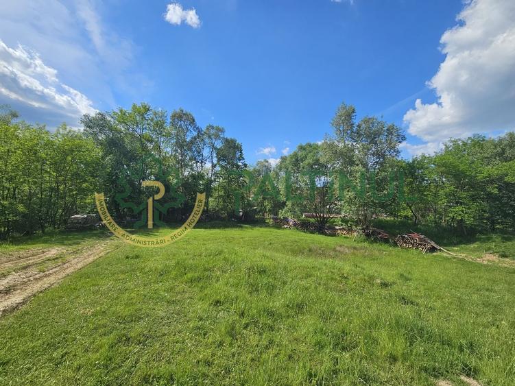 Teren agricol extravilan de 2600 mp, în Racovița