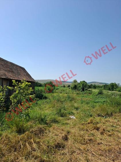 Teren Construcții intravilan de 3600 mp, în Bălăușeri