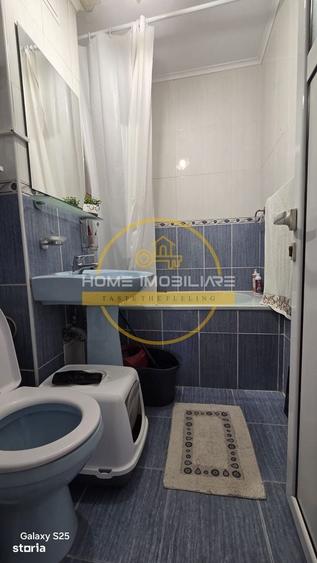 Apartament cu 2 camere, mobilat în Păcurari