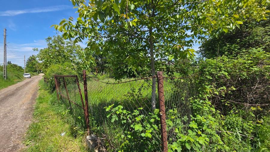 Teren agricol intravilan de 1500 mp, în Mărăcineni