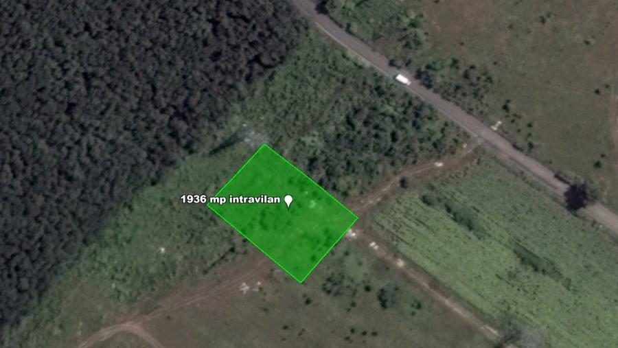 Teren intravilan 1.936 mp, lângă pădure – Săbăreni, Giurgiu, langa DN7 - 1
