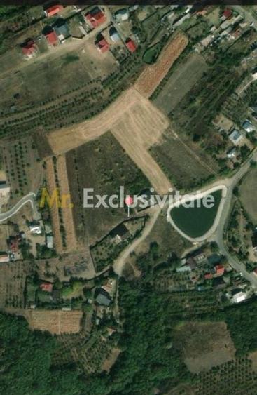 Teren de 533 mp, în Albota