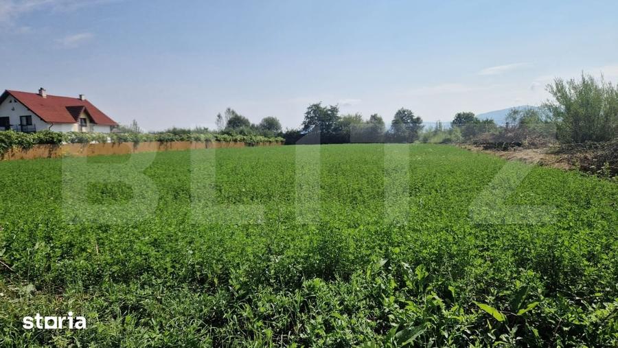 Teren intravilan de vanzare, 3800 mp, zona Vest - 3
