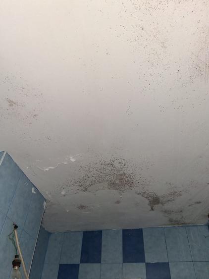 Apartament cu 3 camere circular în Nord