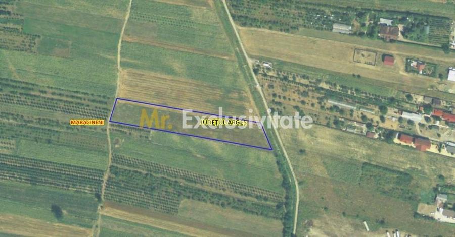Teren de 7545 mp, în Mărăcineni