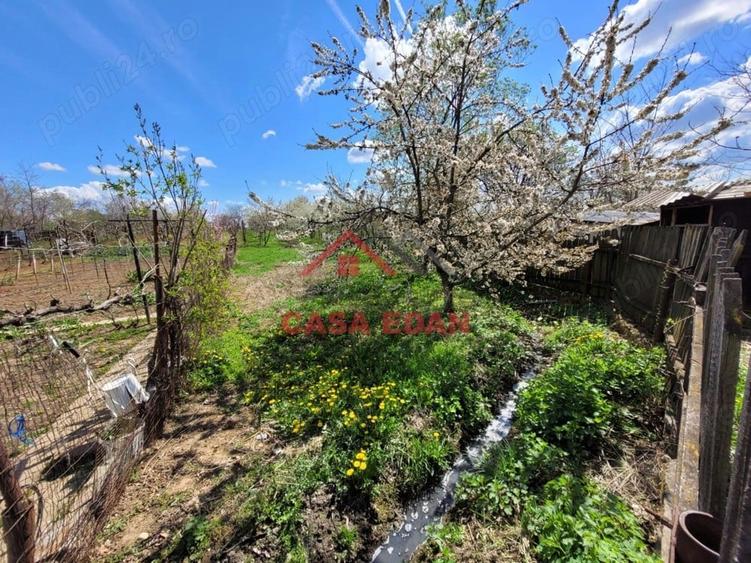 Casa si hala in Baicoi--68.500e - 9