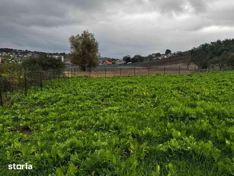 Teren de 1600 mp, în Bucium