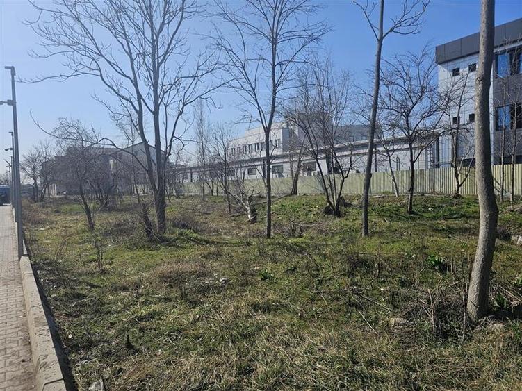 Teren Construcții intravilan de 3348 mp, în Theodor Pallady