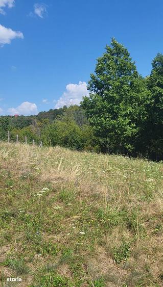 Teren de 3231 mp, în Milcoiu