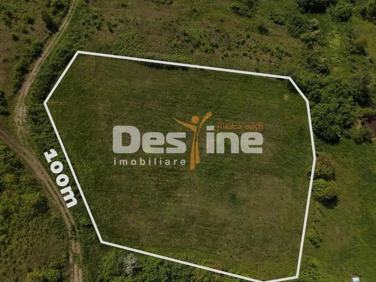 Teren Construcții intravilan de 8000 mp, în Ciurbești
