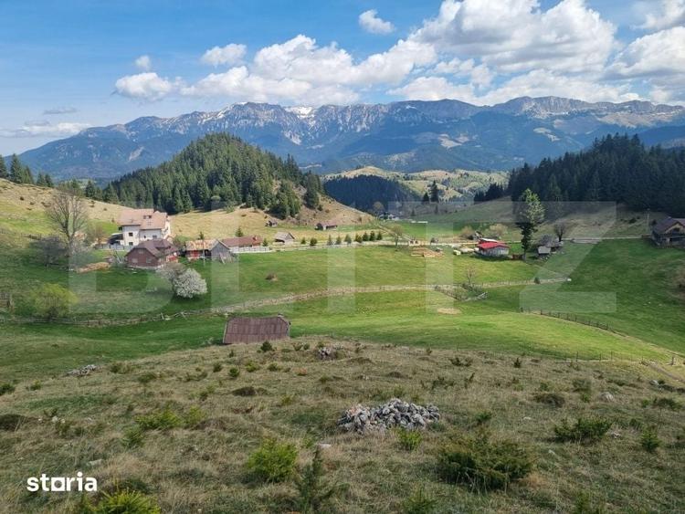 Teren de 16874 mp, în Fundata