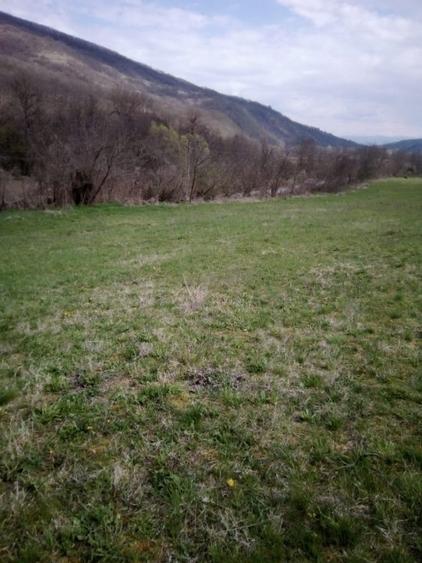 Teren agricol extravilan de 27500 mp, în Geoagiu-Băi