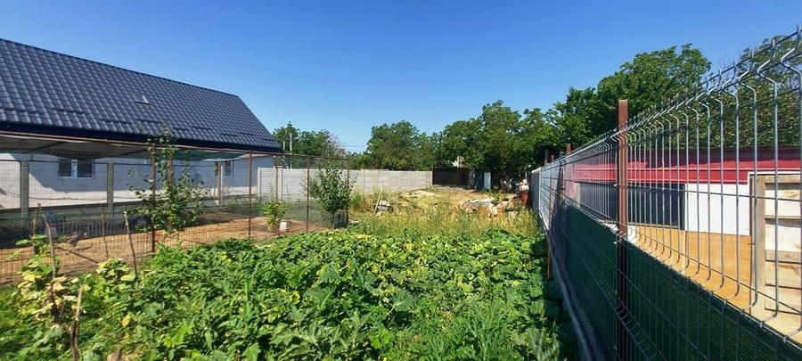 Teren Construcții intravilan de 600 mp, în Cernica