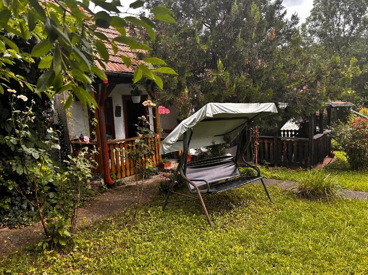Vanzare casa de vacanta - 3