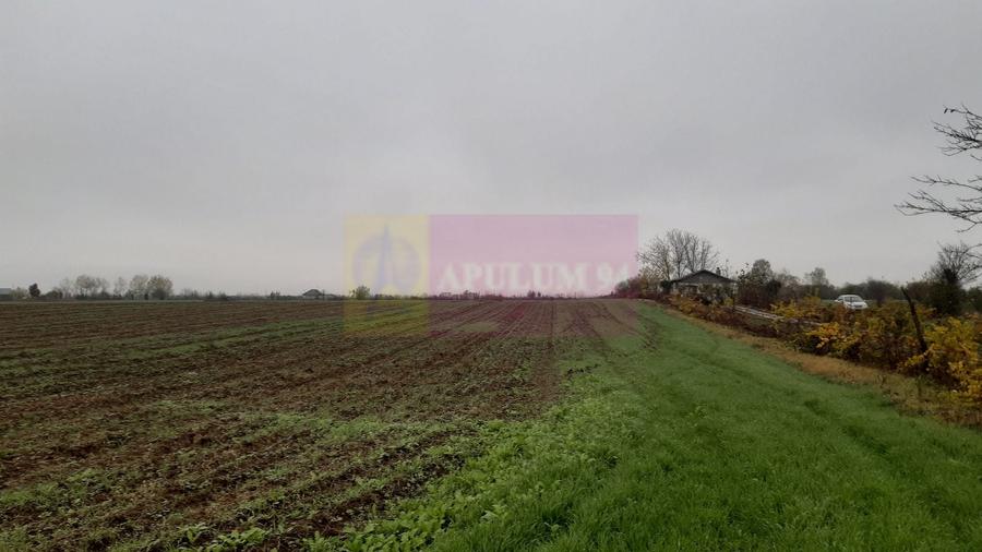 Teren Construcții intravilan de 2250 mp, în 1 Decembrie